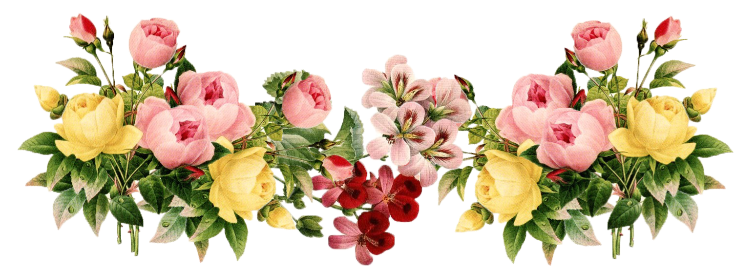 7-2-flowers-png-3.png