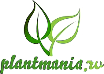 plantmania logo